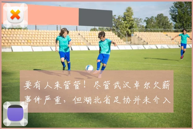 要有人来管管！尽管武汉卓尔欠薪事件严重，但湖北省足协并未介入