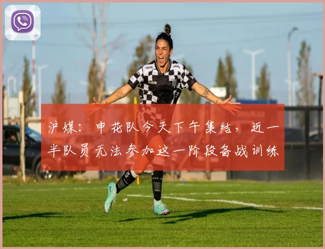 沪媒：申花队今天下午集结，近一半队员无法参加这一阶段备战训练